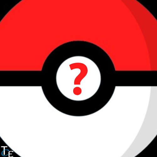 Pokémon Mystery Box L